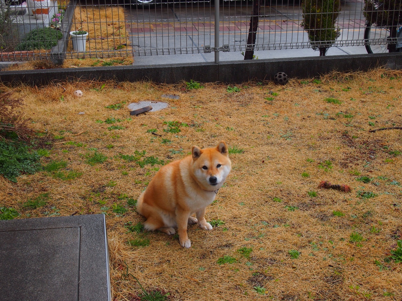 朗斯高位回抢形成有效攻守转换