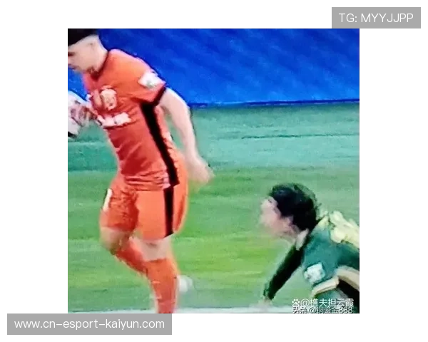 中超第29轮最佳阵容：海港国安泰山各2人，中超第20轮