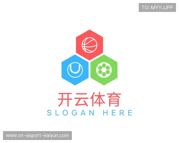 关于开云权威入口