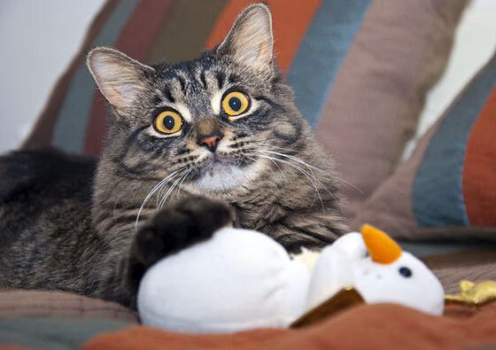 开云电竞平台-76人助教亲自示范无球走位技巧引好评，76人单场助攻纪录